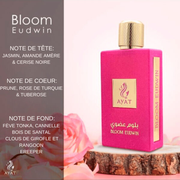 Ayat - Bloom Eudwin