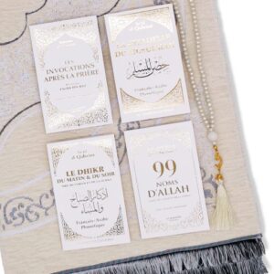 Box Citadelle - Ivory White