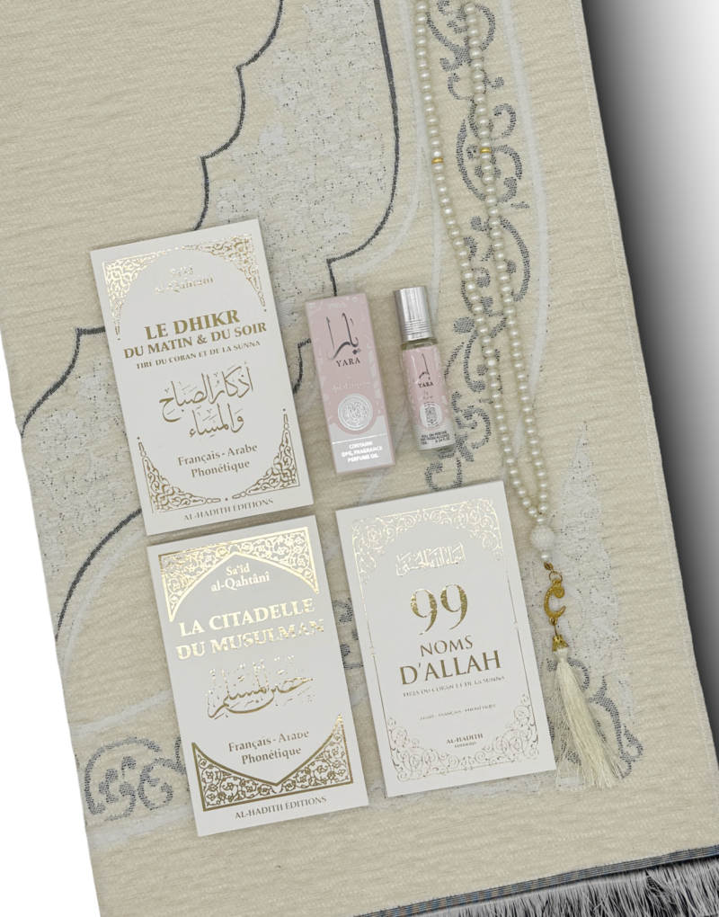 Box Citadelle - Shine